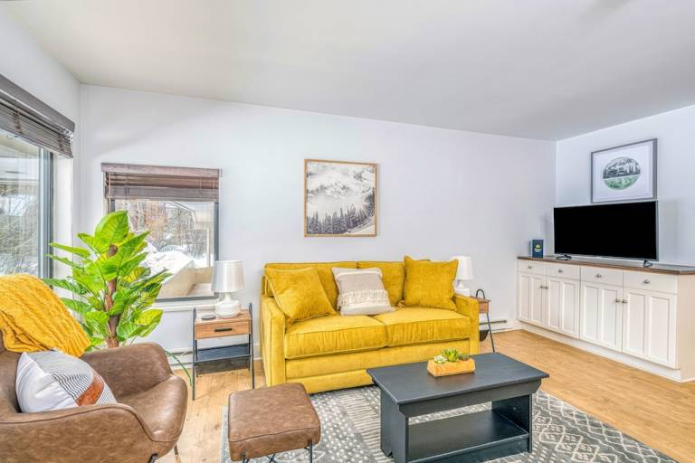 Condo Telluride