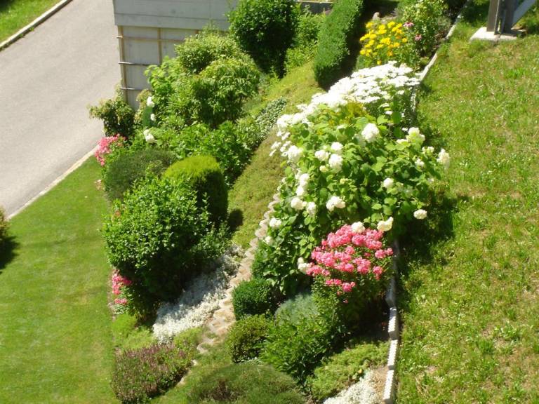 foto25