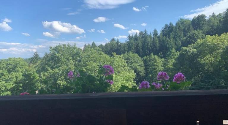 foto21