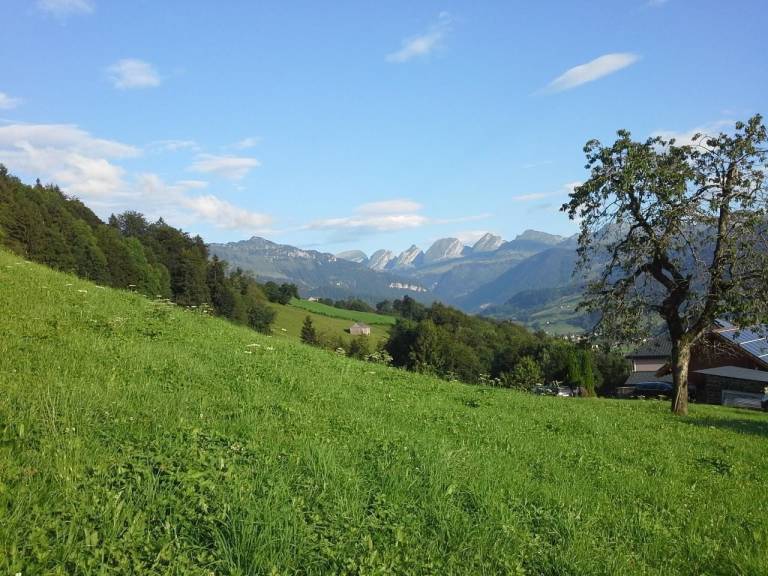 Bauernhof Nesslau-Krummenau