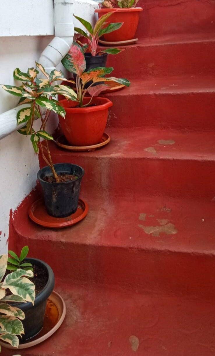 foto23