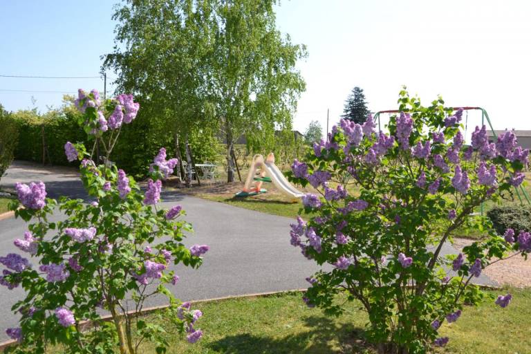foto23