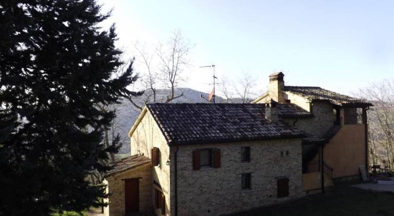 Piccolo Gesto d Affetto