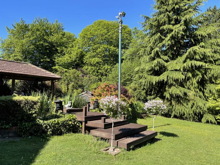 foto20
