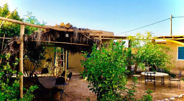 Dar Oasis Moringa — photo 4