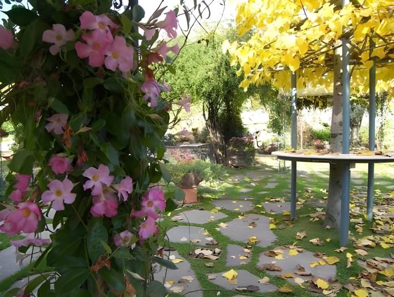 foto34