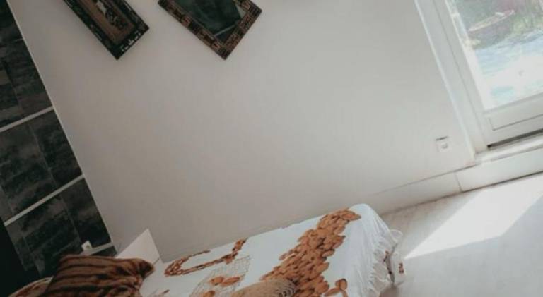 Wonderful holiday apartment | Pets are welcome — photo 2