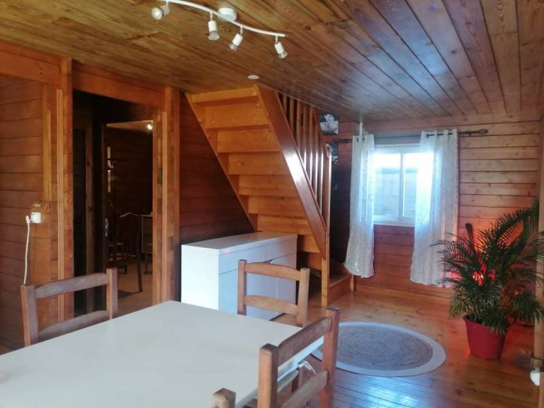 foto7