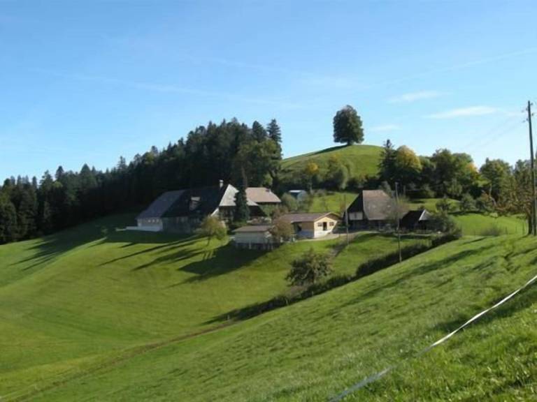 Bauernhof  Trachselwald
