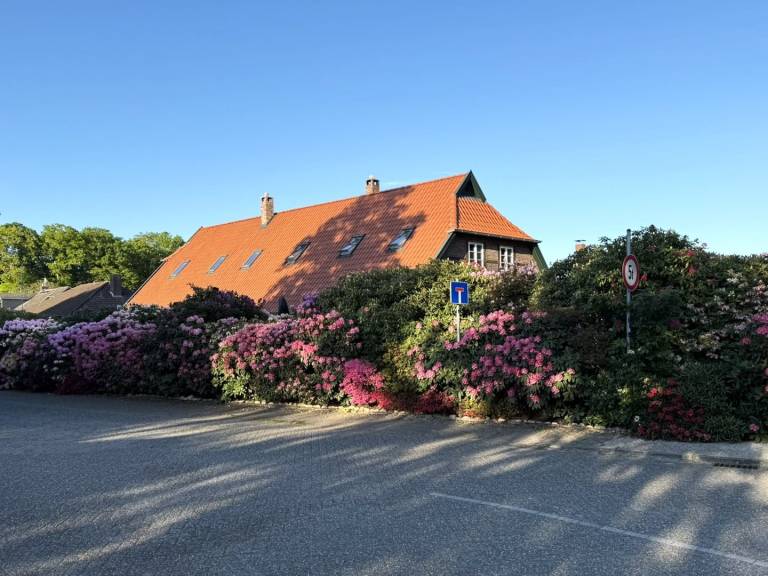 foto27