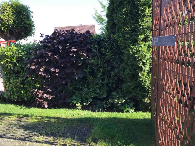 foto28