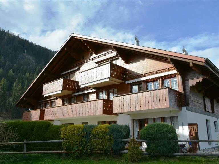 foto1