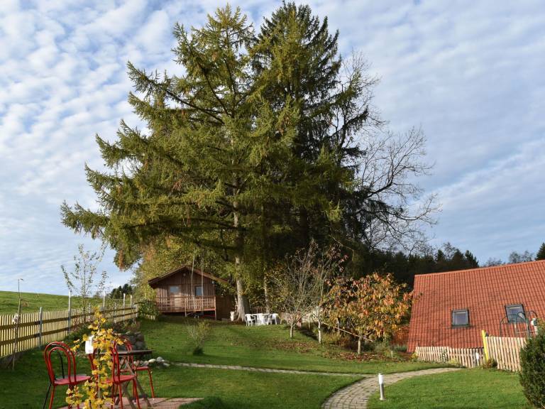 Big rental apartment with yard, BBQ & terrace | Nature view | Dogs allowed — photo 4
