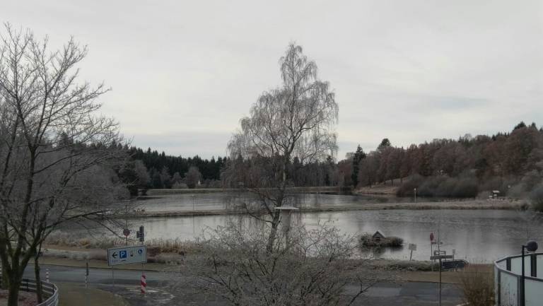 foto11