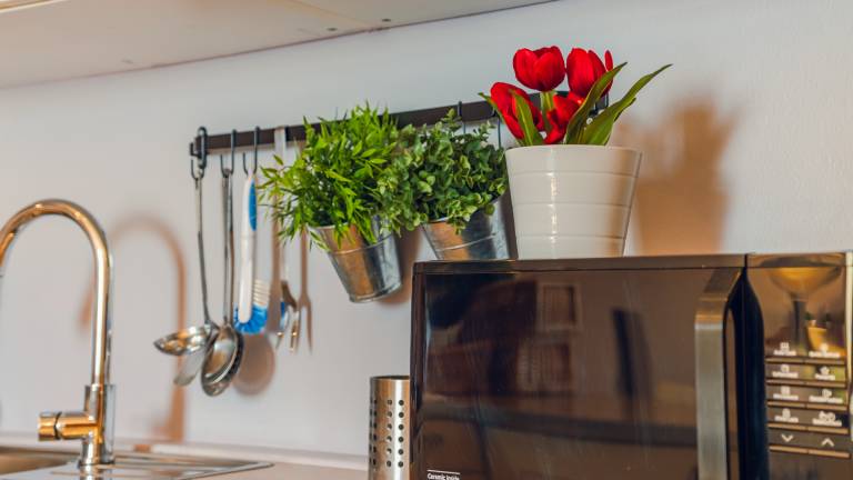 Family-friendly holiday apartment | Panoramic view | Pet-friendly — photo 3