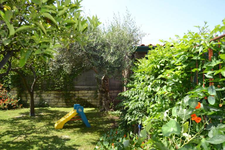 foto33