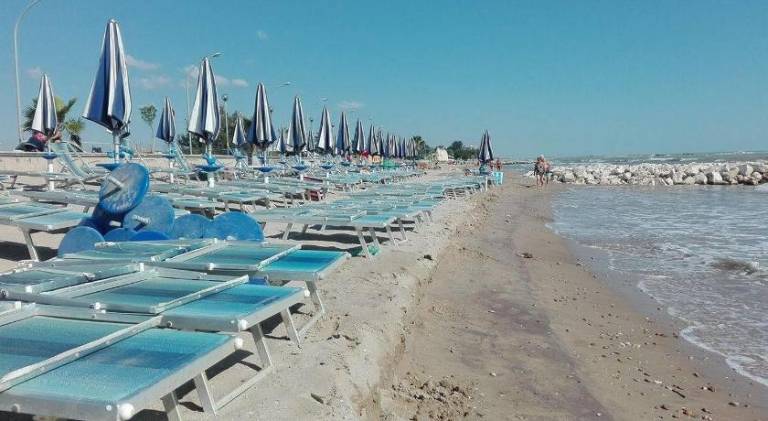 Fully equipped nice rental apartment with garden | Perfect for remote work | Pets allowed in Roseto degli Abruzzi