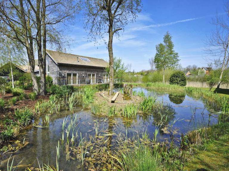Cottage with pool, sauna & patio | Water view — photo 2