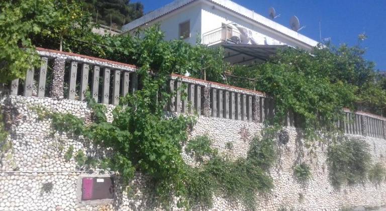 Vacation home | Pets allowed in Peschici