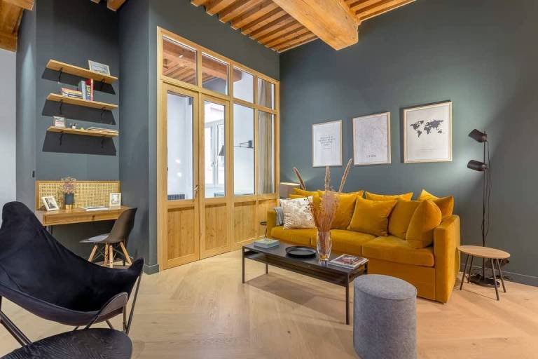 Griffon Furnished apartment Downtown Lyon