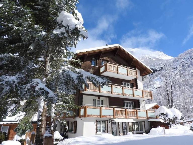 Alpenperle — photo 3