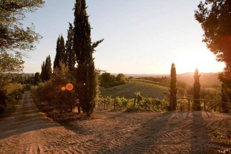 Agriturismo Poggio Ai Grilli