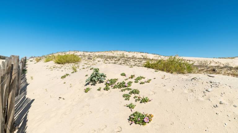Appartement Le Verdon-sur-Mer