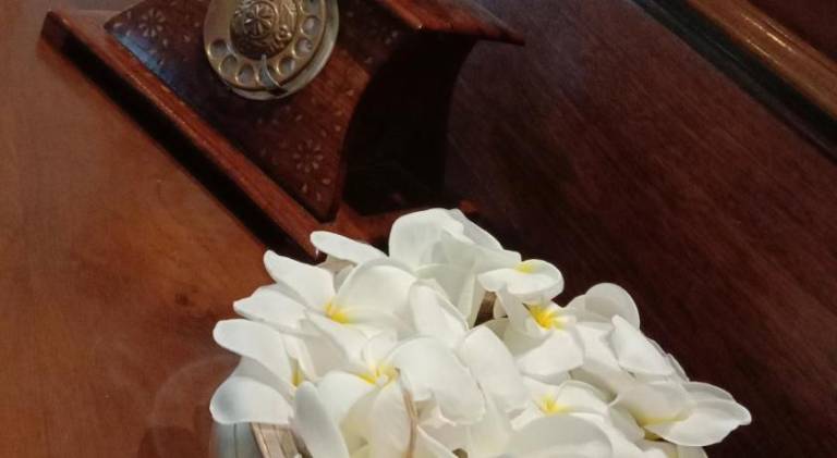 foto42