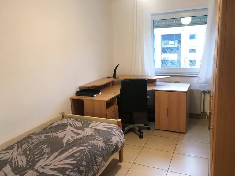 foto11