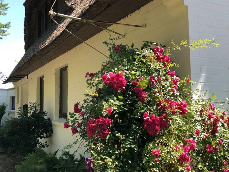 foto23