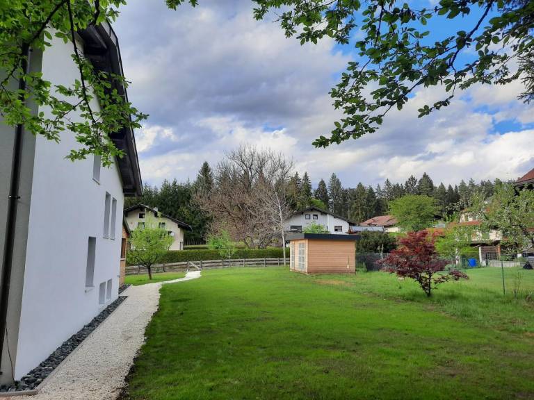 foto42