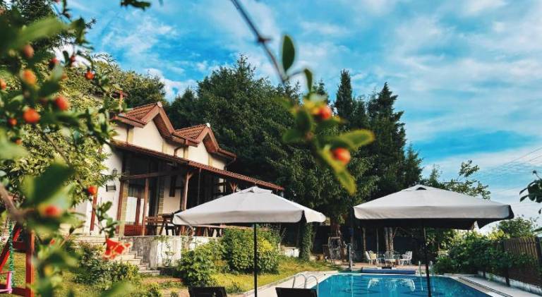 Big villa with private pool & terrace | Pets are welcome in Sapanca