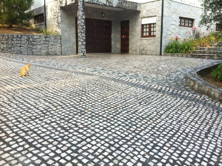 Casa Arganil