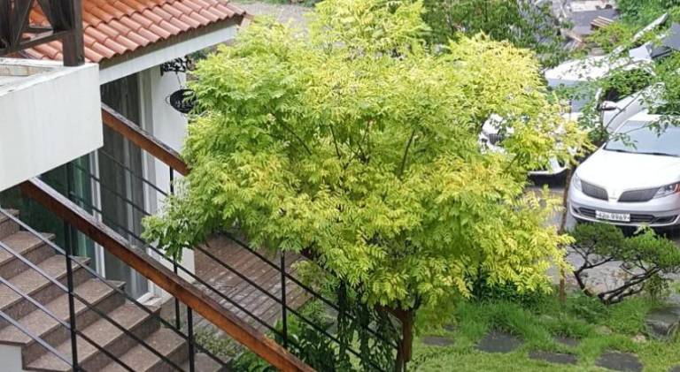 foto20