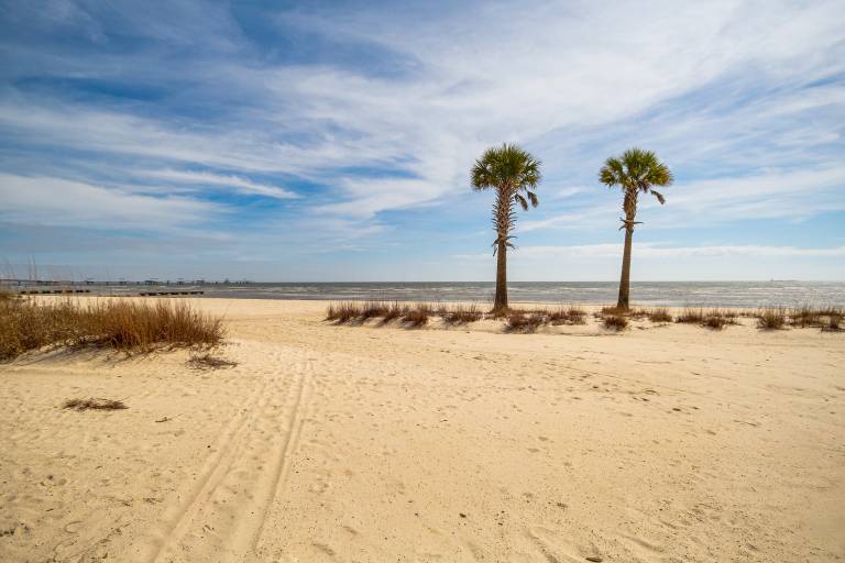 'Sea La Vie' Coastal Getaway Steps from the Beach — photo 3