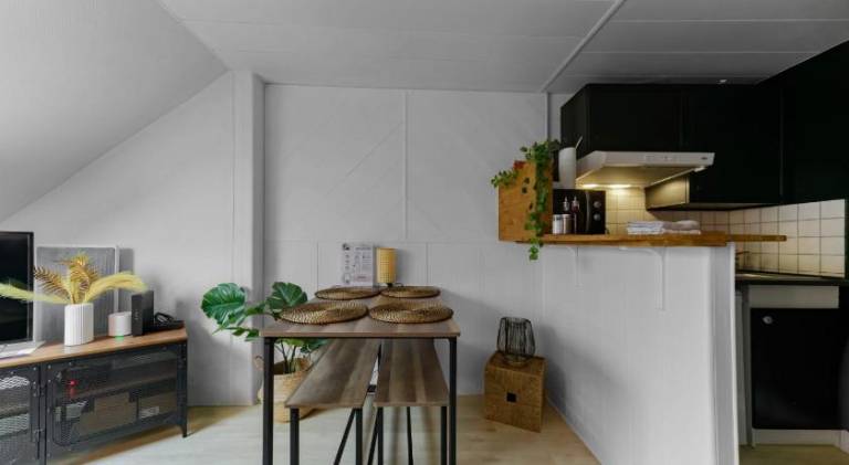 Rental apartment with 1 room for 4 persons — photo 3