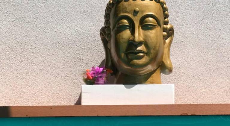 Pleasant rental apartment with pool | Close to the beach | Dogs allowed in Supetar
