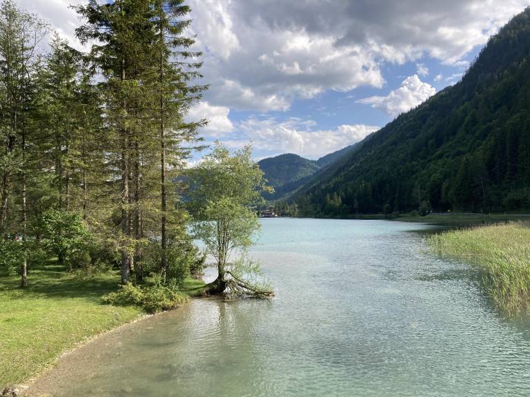 foto45