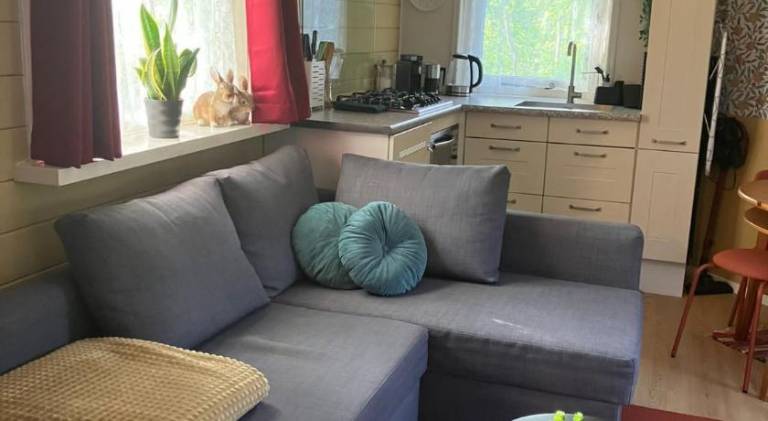 B en B Op Steendam Tuinkamer onder de appelboom