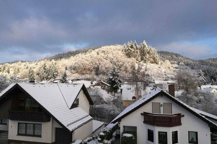 foto40