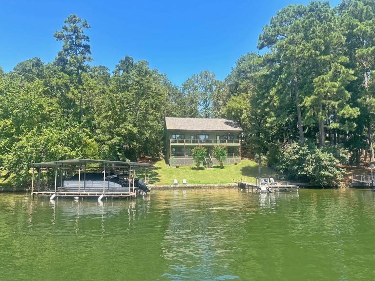 House Lake Hamilton