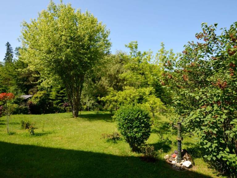 foto24
