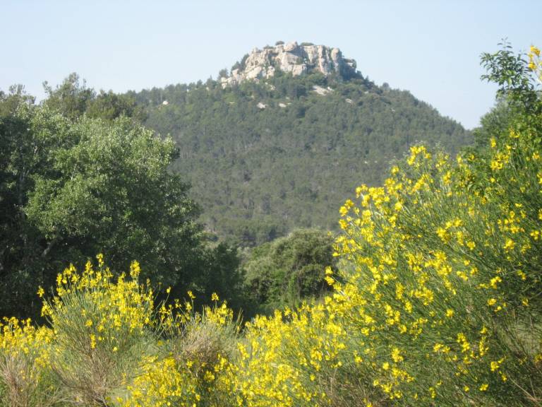 Gite with terrace, barbecue & pool | Nature view — photo 2