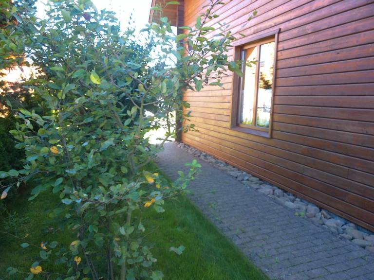 foto22