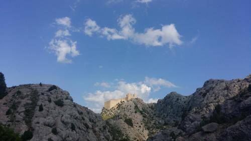 foto14