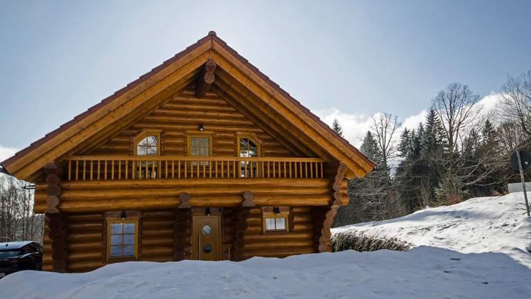 Ferienhaus  Feldberg (Schwarzwald)