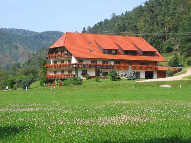 Ferienwohnung Elzach