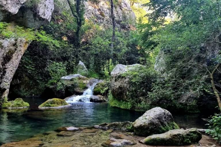 foto35