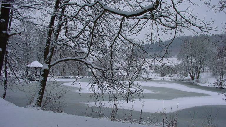 foto22