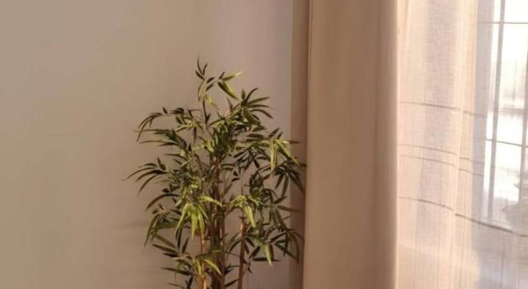 Nice apartment | Pet-friendly — photo 5
